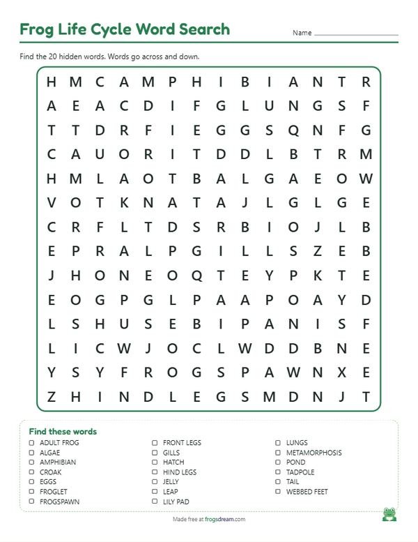 Frog Life Cycle Word Search: free printable word search puzzle from frogsdream